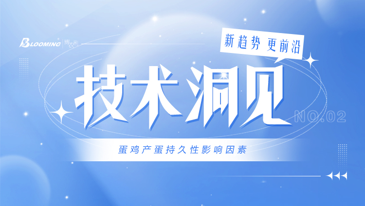 技術(shù)洞見 | 蛋雞產(chǎn)蛋持久性影響因素